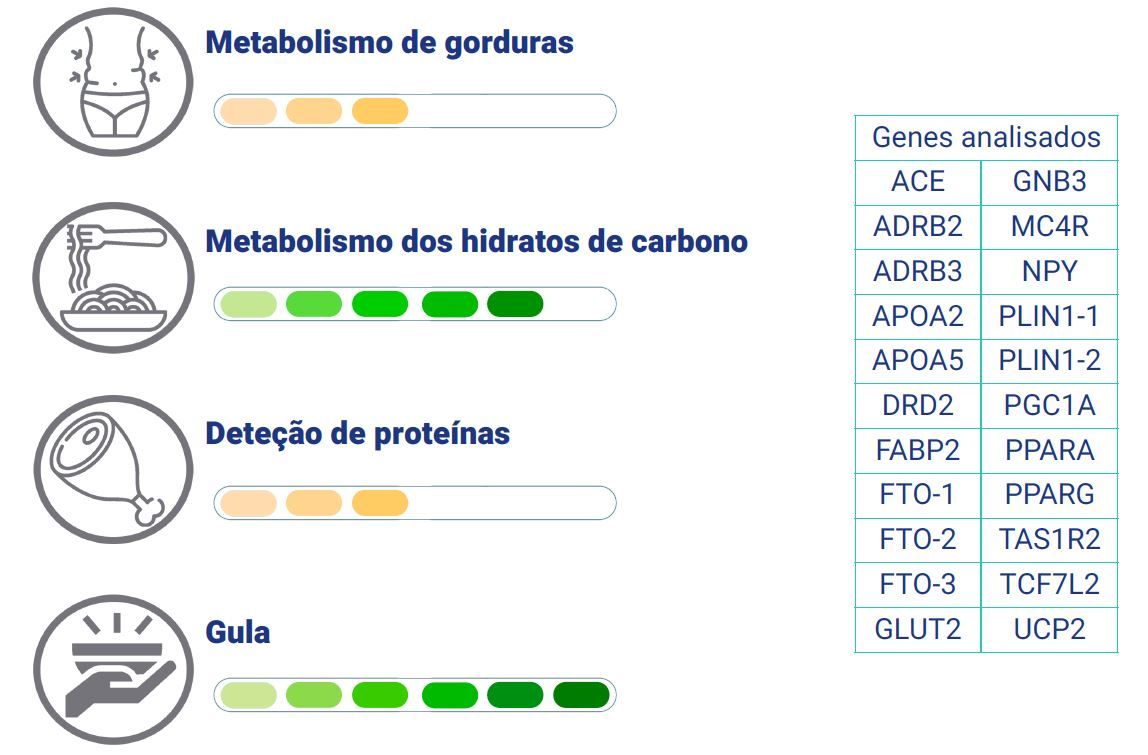 report-teste-nutrigenetico.jpg